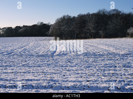 Schnee auf dem Benacre Anwesen in Suffolk Uk Stockfoto