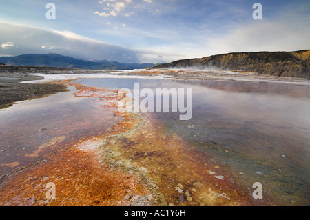 Orange Abfluss kanarischen Frühling Top Mammoth Hot Springs Yellowstone National Park Wyoming USA Vereinigte Staaten von Amerika Stockfoto