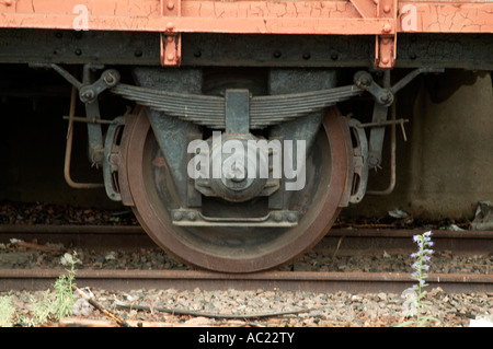 Blatt, Frühling, gefederte, Federung, Zug, Stahl, Warenkorb, Cartleaf, Rad, Stockfoto