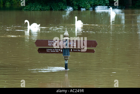 Wegweiser halb unter Wasser durch den Fluss Severn bei Hochwasser in Worcester Juni 2007 Schwäne schwimmen durch. Stockfoto