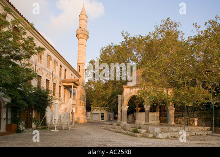 Hippokrates-Flugzeug von Hippokrates von Cos am Platia Platanou nahe Hadji Hassan Moschee Kos Stadt Kos Griechenland gepflanzt Stockfoto