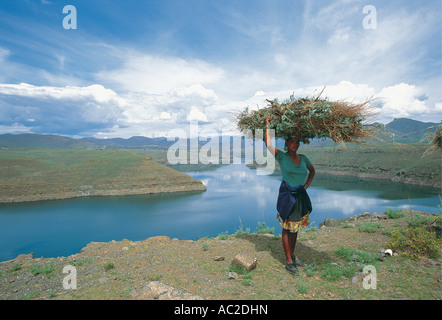 Frau tragen von schweren Lasten auf Köpfen Katse Dam hinter Wasser für Südafrika und Lesotho bietet Stockfoto