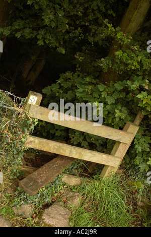 Öffentlichen Wanderweg kreuzt einen hölzernen Stil in Wald in Somerset Stockfoto