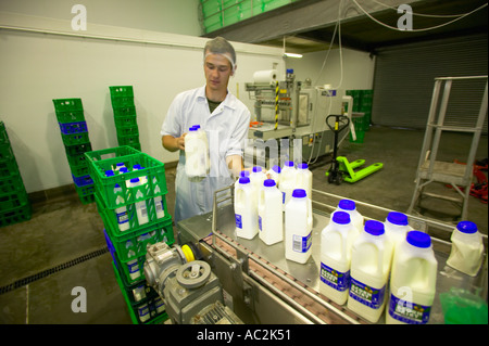 Arbeiter an Eichel Molkerei Garthorne Farm County Durham Stockfoto