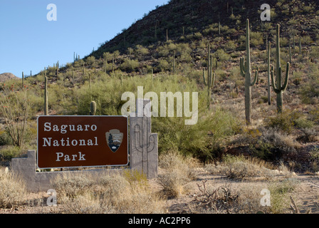 Ortseingangsschild für Saguaro National Park, Arizona, USA, mit Kakteen im Hintergrund Stockfoto