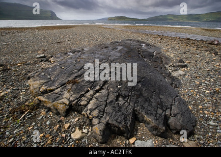 Flache Felsen im Vordergrund an einem Strand an der Westküste von Mull, Schottland, Vereinigtes Königreich Stockfoto