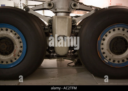 Concorde zeigt am East Fortune Museum of Flight in East Lothian, Schottland Stockfoto