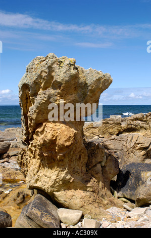 Die Felsküste bei Hopeman auf den Moray Firth Stockfoto