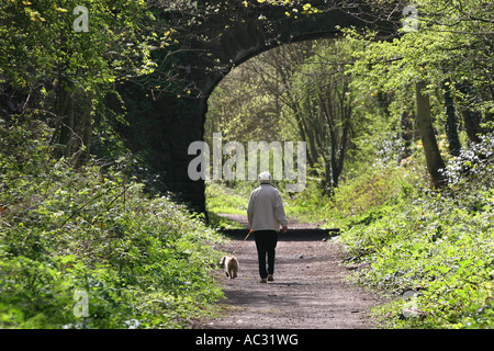 Alte Dame walking Hund entlang sonnigen Baum gesäumt Weg in Richtung Tunnel unter der Brücke der Eisenbahnlinie. Stockfoto