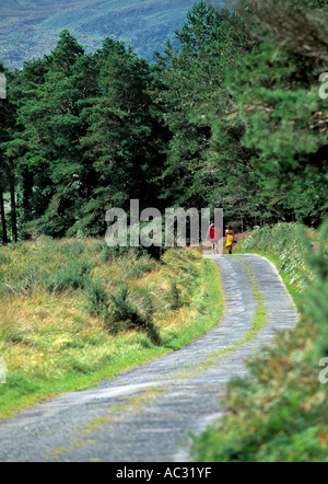 Wanderer auf einen schmalen Feldweg, umgeben von Bäumen, Schönheit in der Natur, Stockfoto