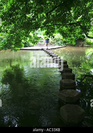 Die Trittsteine über den Fluss Maulwurf an Box Hill, Dorking, Surrey Stockfoto