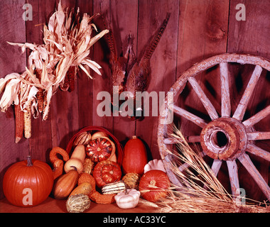 Herbstliche Stillleben mit alten Wagenrad und Klammer der Ringneck Fasane auf einem verwitterten Barnwood Hintergrund Stockfoto