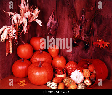 Saisonale Herbst-Stilleben mit einem Jagd-Thema mit einer Klammer von Fasanen und eine Klammer der Chukkar Patridges Stockfoto