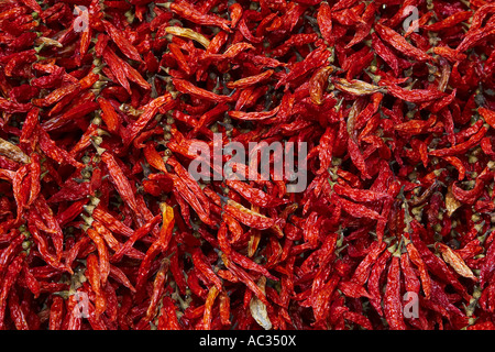 Chili-Pfeffer, Paprika (Capsicum Annuum), auf dem Markt, getrocknete Gewürze, Portugal, Madeira, Funchal Stockfoto