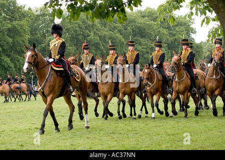 Vereinigtes Königreich England Großbritannien britischen Inseln Europa des Königs Truppen Stockfoto