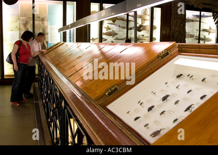 Natural History Museum Tring - Hertfordshire Stockfoto