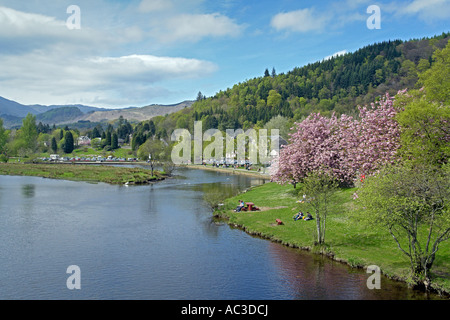 Sommersonne am Fluß Teith Callander Stockfoto