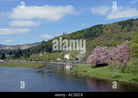 Sommersonne am Fluß Teith Callander Stockfoto