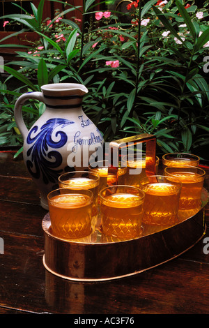 Deutschland, Frankfurt, Apfelwein Gläser und Bembel Portion Krug Stockfoto