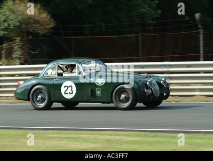 Jaguar XK150 Sportwagen am Oulton Park Motor problemlos Schaltung Cheshire England Vereinigtes Königreich UK Stockfoto