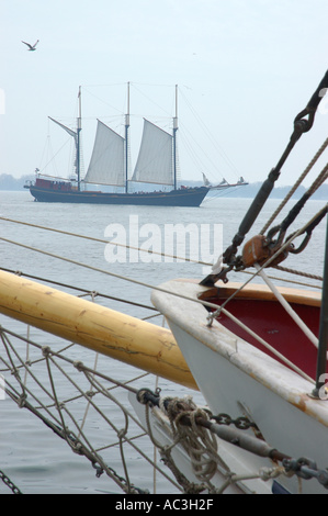 Klassische Segelschiffe im Hafen von Toronto Stockfoto