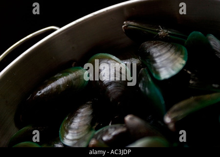 gewaschene rohe Muscheln werden in einem Sieb vor dem Kochen gesehen. Stockfoto