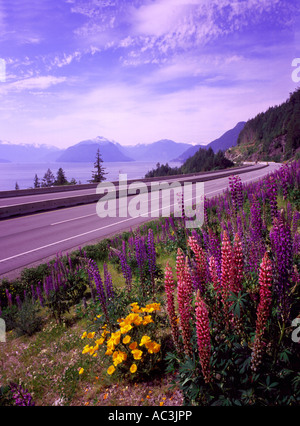 Die Scenic "Sea to Sky" Highway 99 wicklung von Vancouver nach Whistler British Columbia Kanada Stockfoto