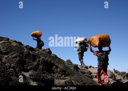 Drei Träger tragen schwerer Lasten, Klettern auf die Machame-Route über Barranco Wall Mount Kilimanjaro, Tansania Stockfoto