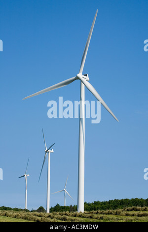 Maple Ridge Wind Farm Windkraftanlagen auf Tug Hill Plateau Lewis County New York in der Nähe von Watertown Stockfoto