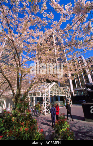 Bürotürme im Frühjahr Innenstadt in der Stadt Vancouver British Columbia Kanada Stockfoto