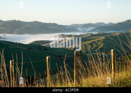 Misty Farmland in der Nähe von Martinborough Wairarapa Nordinsel Neuseeland Stockfoto