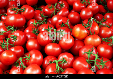 Reife Tomaten am Rebstock zum Verkauf an einem Marktstand Stockfoto