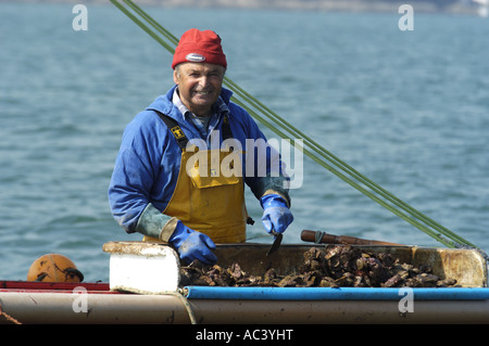 Eine traditionelle Auster Bagger Segelboot bei der Arbeit in Carrick Roads in der Fal-Mündung Cornwall England Stockfoto