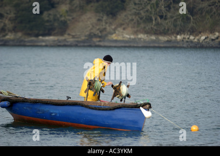 Eine traditionelle Auster Bagger s bei der Arbeit in Carrick Roads in der Fal-Mündung Cornwall England Stockfoto