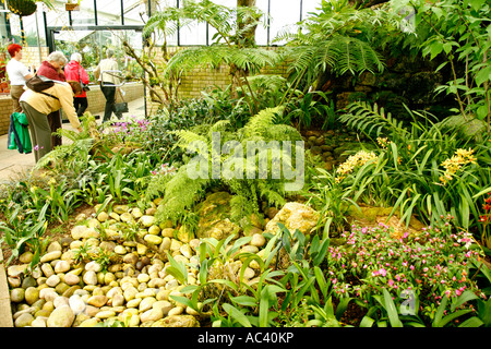 Royal Botanic Gardens Kew Richmond London Prinzessin von Wales Conservatory Farne und Orchideen Stockfoto