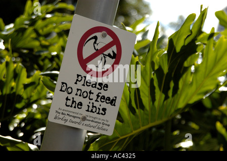 Warnschilder mit der Aufschrift „Bitte füttern Sie das Ibis nicht“ auf dem Arbour, Rainforest Walk. Southbank, Brisbane, Australien. Stockfoto