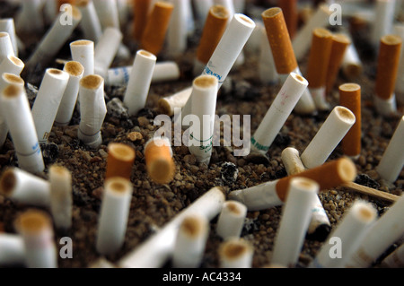 Aschenbecher am Flughafen Cairns, Australien. Vor dem Betreten des Flughafens stapelten sich die mit ekelhaftem, stinkenden, im Sand versteiften Kotelköpfe. Stockfoto