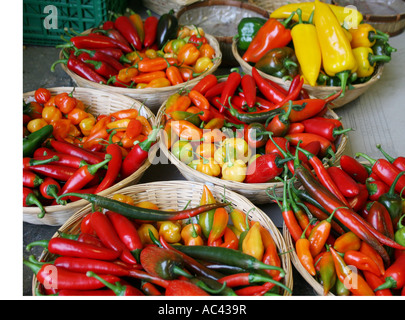 Chilischoten. Bunte Vielfalt in Körben. Landschaft. Blunham, Bedfordshire, UK. Stockfoto