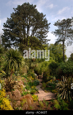 EXEMPLARE VON NEUSEELAND FLACHS ODER PHORMIUM TENAX ENTLANG EINEN ÜBERDACHTEN GEHWEG AN DEWSTOW GÄRTEN UND GROTTEN IN DER NÄHE VON CHEPSTOW SÜDWALES Stockfoto