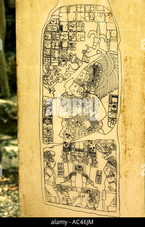 Maya-Glyphen auf eine steinerne Stele neben Nohoc Mul Pyramide in Coba Yukatan, Mexiko Stockfoto