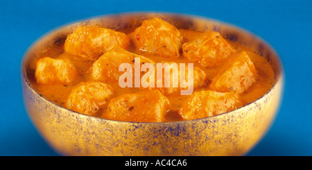 INDISCHES CURRY CHICKEN KORMA Stockfoto