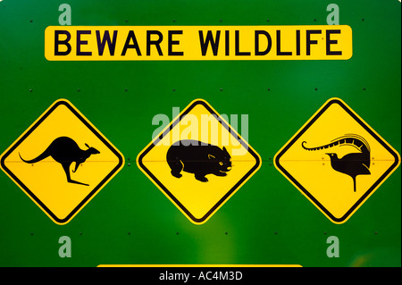 Känguru-Wombat und Leierschwanz Warnung Zeichen Mount Buffalo National Park Victoria Australien Stockfoto