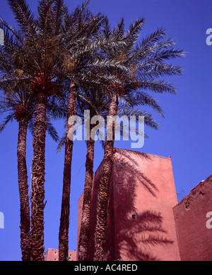 Gebäude rund um die Saadian Gräber Marrakesch Marokko Stockfoto