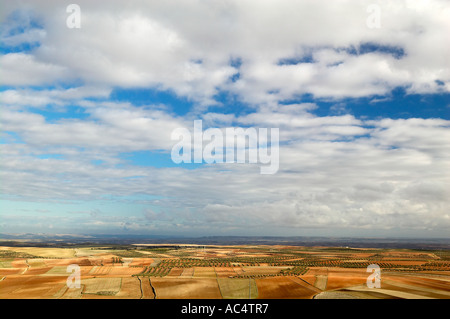 Olivenbäume Felder. Almonacid del Marquesado. Route des Don Quijote. Cuenca Provincia. Kastilien-La Mancha. Spanien Stockfoto