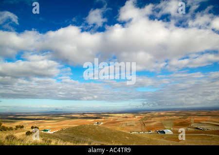 Olivenbäume Felder. Almonacid del Marquesado. Route des Don Quijote. Cuenca Provincia. Kastilien-La Mancha. Spanien Stockfoto