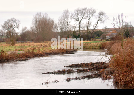 DER FLUSS WYLYE BEI GROßEN WISHFORD IN DER NÄHE VON SALISBURY WILTSHIRE UK Stockfoto