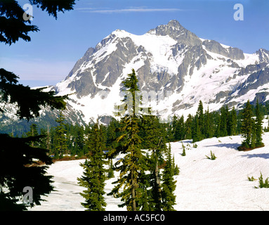 Mt Shuksan North Cascades National Park Washington State USA Stockfoto