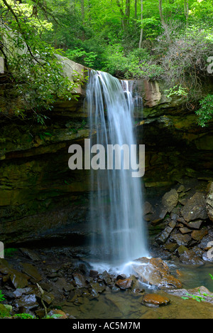 Gurken-Wasserfälle in die Ohiopyle State Park Recreation Area im südlichen Pennsylvania PA Stockfoto