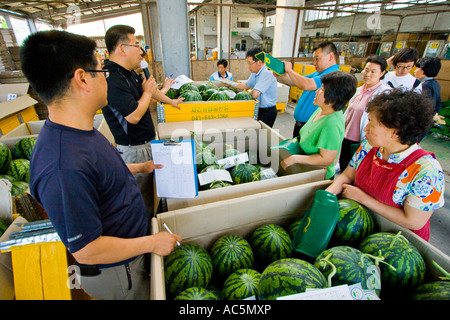 Co-Op produzieren Consolidator Jecheon Chungcheongbuk tun Provinz South Korea Stockfoto