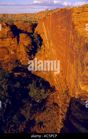 Steilen Sandsteinfelsen an Spitze des Canyon, (Kings Canyon) Watarrka National Park, Northern Territory, Australien, vertikal, Stockfoto